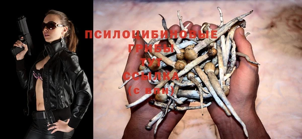 МДМА Богданович
