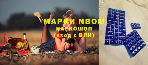 ГАЛЛЮЦИНОГЕННЫЕ ГРИБЫ Белоозёрский